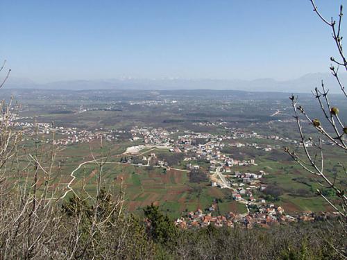 image-74 
