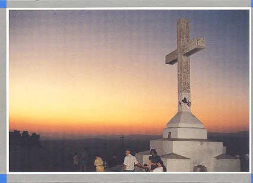 image-445 