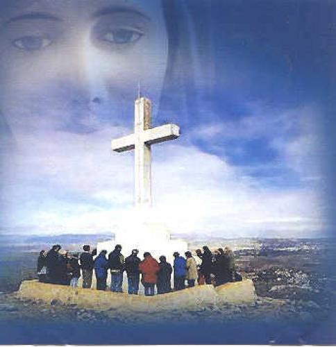 image-433 