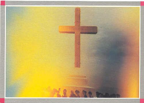 image-446 