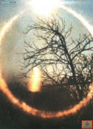 image-1014 