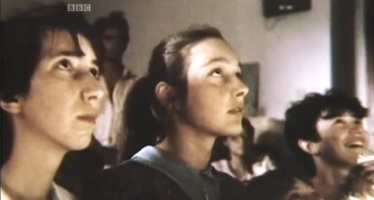 image-146 